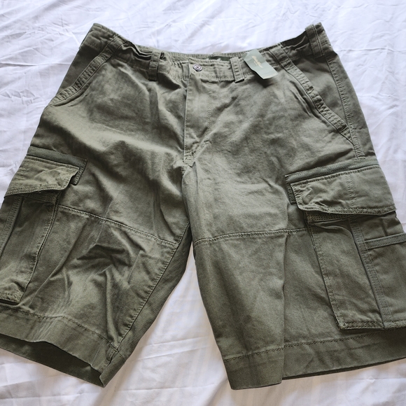 Eddie Bauer Other - Eddie Bauer Ultimate Green Cargo Shorts Men's Size 36 NWT!!!